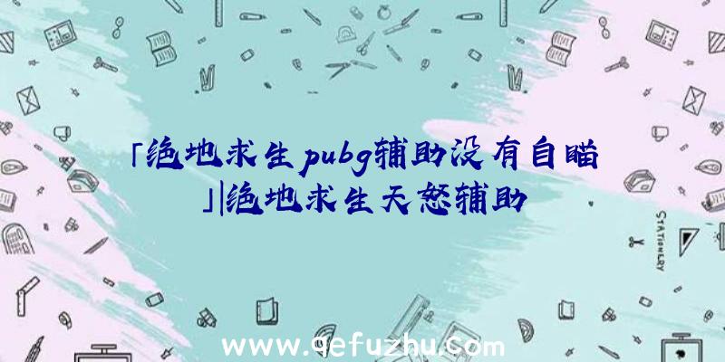 「绝地求生pubg辅助没有自瞄」|绝地求生天怒辅助